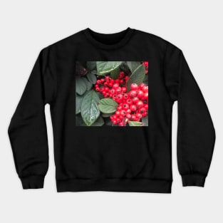 Red Christmas Berries of Harmony and Generosity Crewneck Sweatshirt